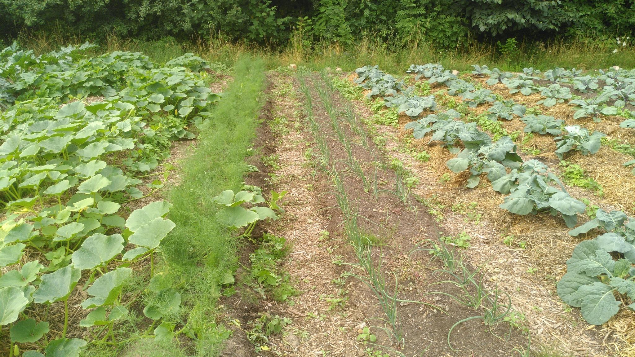 Rabelades Farm